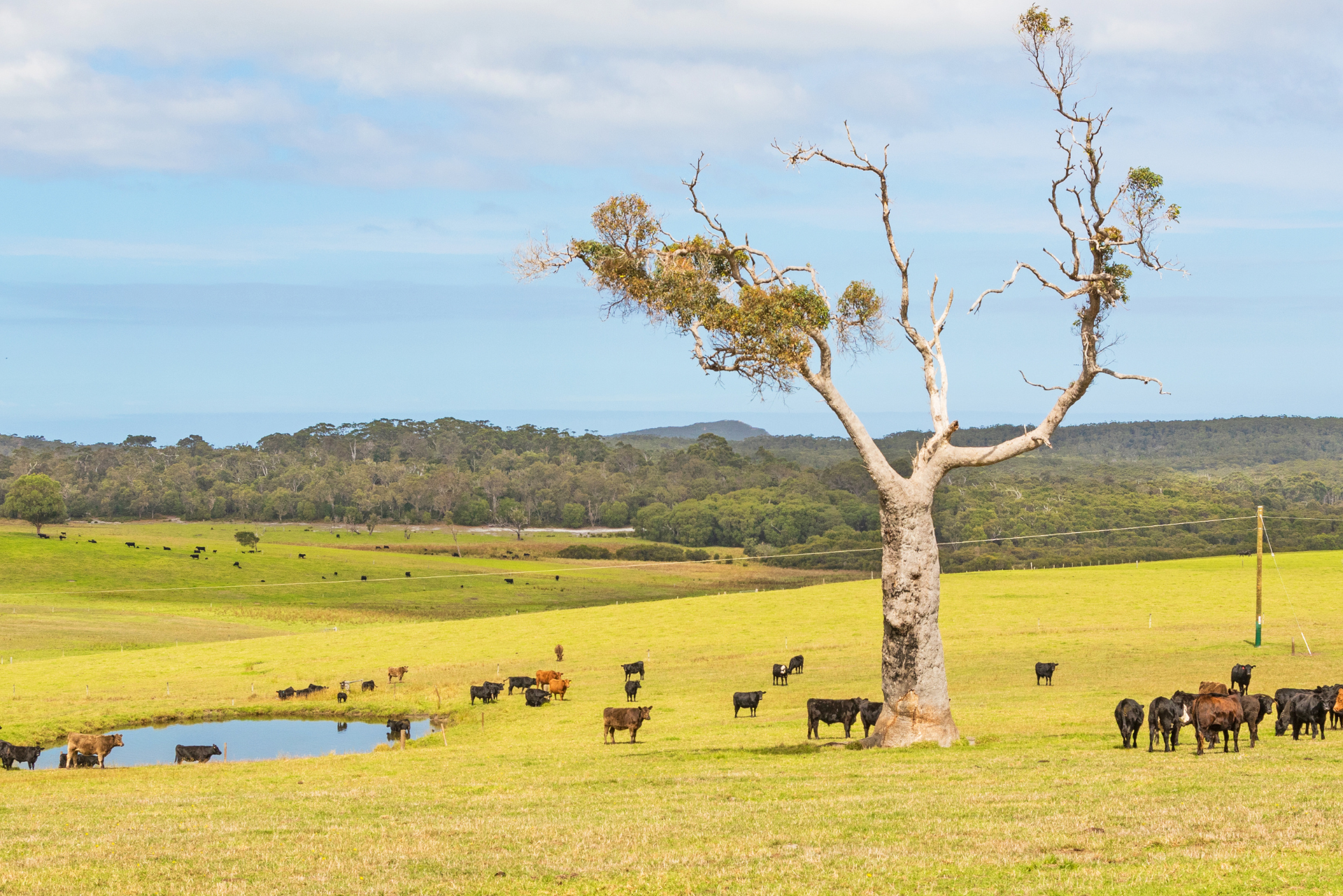 Unlocking Victoria’s exports to the world